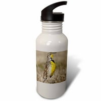 Western Meadowlark Bird, Оклахома - US LDI - Larry Ditto Oz Sports Water Bottle WB -93400-1