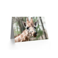 Рожден ден животни снимка жираф облизване на ноздрите поздравителни картички плюс плик празен вътре